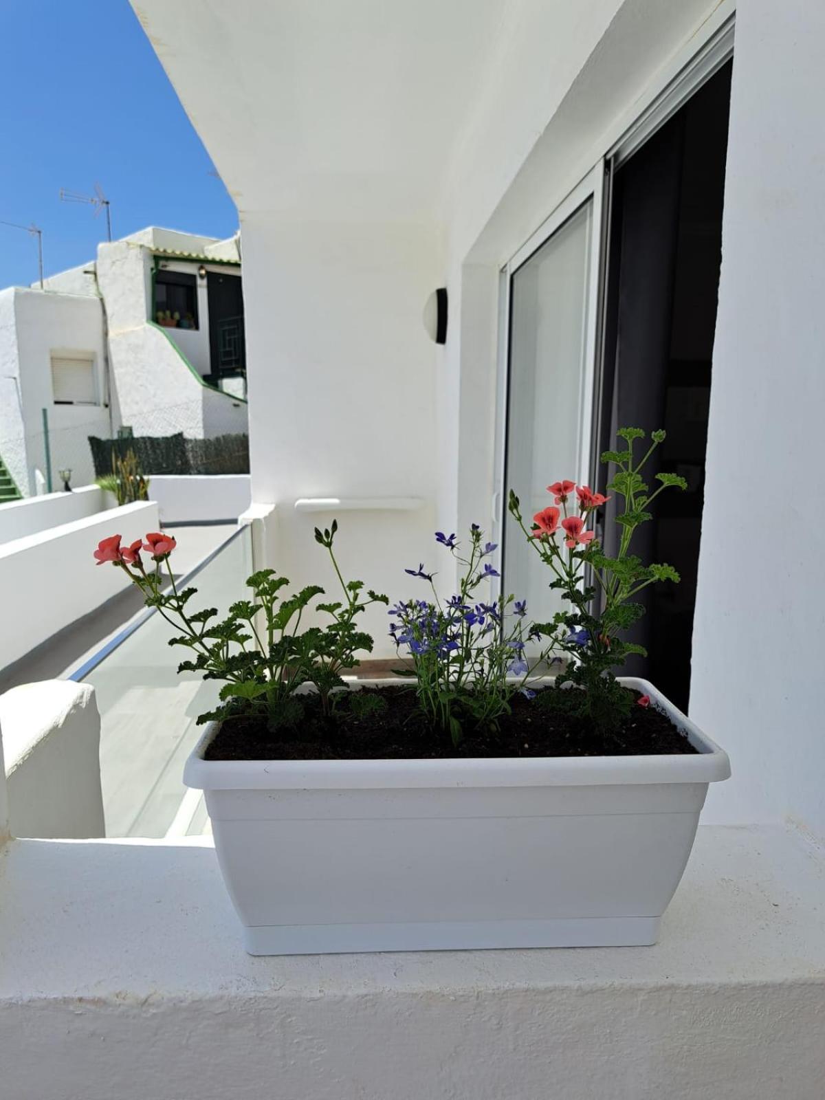 Casa Esterlita ตาราฮาเลโฮ ภายนอก รูปภาพ